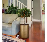 Idealist™ 50Cm Tall Planter, Gold Plant Pot, Reinforced Stone Round Indoor Plant Pot W32 H50 Cm With Inner Top D26 Cm, 25L