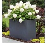 Idealist™ 60Cm Garden Trough, Slate Grey Reinforced Stone Tall Rectangular Planter, Outdoor Large Plant Pot H50 L60 W30 Cm, 91L