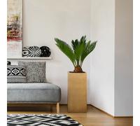 Idealist™ 60Cm Tall Planter, Gold Plant Pot, Reinforced Stone Tall Square Indoor Plant Pot H60 L27 W27 Cm, 24X24 Cm Opening, 33L
