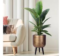 Idealist™ (Dia) 26Cm Gold Reinforced Stone Flower Pot, Round Planter On Legs, Indoor Plant Pot For Indoor Plants W30 H43 Cm, 16L