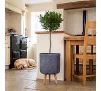 Idealist™ (Dia) 27Cm Plant Pot, Grey Reinforced Stone Flower Pot, Round Indoor Planter On Wooden Legs W31 H47 Cm, 19L
