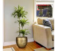 Idealist™ (Dia) 33Cm Gold Plant Pot, Reinforced Stone Round Indoor Planter For Indoor Plants W37 H31 Cm, 34L