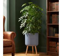 Idealist™ (Dia) 33Cm Grey Reinforced Stone Flower Pot, Fluted Round Planter On Legs, Indoor Plant Pot For Trees W37 H64 Cm, 34L