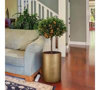 IDEALIST Gold Plant Pot 50cm Tall | Reinforced Stone Indoor Round Planter W32 H50 cm with Inner Top D26 cm, 25 litres