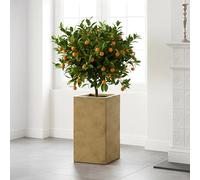 IDEALIST Gold Plant Pot 60cm Tall | Reinforced Stone Indoor Tall Square Planter H60 L27 W27 cm with 24x24 cm Opening, 33 litres