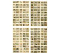 IDEANATEGRATE 2 Packs Mini Retro Handbook Message Cards Vintage Collage Paper Memo Stickers for Scrapbooking and Office Notes