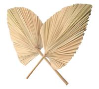 IDEANATEGRATE 2pcs Heart-shaped Dried Palm Leaves Hand Fans for Wedding and Home Decor Natural Dried Palm Leaves with Charming Design Fans for Table Decoration