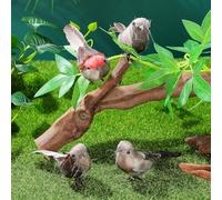 IDEANATEGRATE 4pcs Artificial Feathered Bird Ornaments Set, Realistic Foam Birds Decoration Props for Garden, Party, Home Décor, Random Colors, Suitable for Hanging and Craft Use Random Color