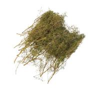 IDEANATEGRATE Dry Wood Branches Miniature Thorn Bush Model Trees for Train Layout and Yard Miniature Trees Setups Creative Expansion Easy Assembly for Enthusiasts and Beginners
