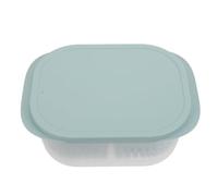 IDEANATEGRATE Multipurpose Vegetable Preservation Box with Lid, Oblong Fruit Draining Holder Food Storage Container for Refrigerator, Home Kitchen Fresh Keeping Box in Light Tea Green