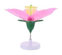 IDEANATEGRATE Portable Plastic Peach Blossom Models for Biology Classes with Enlarged Flower Structure, Teaching Tools for Conducting Biological Experiments and Student Learning