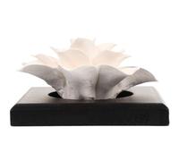 IDEANATEGRATE Small Ceramic Magnolia Car Perfume Diffuser with Gypsum Flower, Portable Essential Oil Incense Diffuser Decor for Vehicle and Home, Practical Aroma Air Freshener