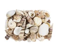 Ideen mit Herz Potpourri | Shells | 450 g | Natural | Various Shell Types