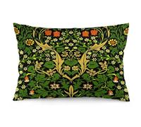 Ideeze William Morris Blackthorn Pattern Throw Pillow Covers Soft Decorative Orange and Green Throw Pillowcases Cushion Case Square for Home Decor Bed Couch Car Living Room 12x20 Inch