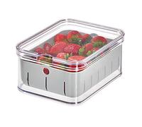 iDesign Crisp Box, Unit Crafted from Food-Safe Plastic, Fridge Storage Organiser for Snacks, Produce, Grey, Clear, Gray, 21.13/16.05/9.55 cm