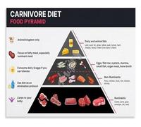IDGTTLDF Carnivore Diet Chart Food List Poster Healthy Eating Guide for Dieters Kitchen Decor Nutritionist Office Health Poster Unframed,12x18inch(30x45cm)