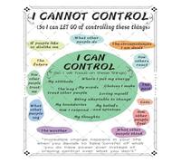 IDGTTLDF Coping Skills Checklist Metal Sign Let Go of What You Cannot Change for Life Coach Coaching Office Wall Hanging 8 X 12 inch
