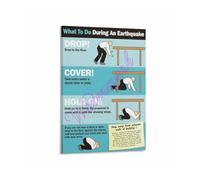 IDGTTLDF Disaster Response Plan Poster Earthquake Emergency Guide Survival Checklist for Home Workplace and School Unframed,08x12inch(20x30cm)