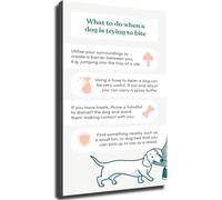 IDGTTLDF Dog Bite Prevention Guide Canine Poster Educational Wall-Art for Pet Owners Home Decor Unframed,16x24inch(40x60cm)