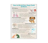 IDGTTLDF Dog Lovers Gift Veterinary Care Tips Poster Canvas Wall-Art Print for Animal Clinic or Home Office Framed,16x24inch(40x60cm)