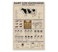 IDGTTLDF Kids Farm Animal Poster | Friendly Guide to Dairy Cow Parts & Fun Facts | Colorful Educational Print for Children's Bedroom, Playroom or School Unframed,12x18inch(30x45cm)