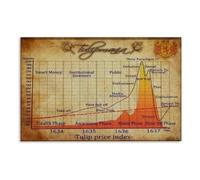 IDGTTLDF Mania Wall-Art - Infographic Event Poster Canvas Print, Vintage Bubble Economic History Decor for Home Office Unframed,16X24inch(40X60cm)