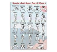 IDGTTLDF Martial Arts Stances Reference Poster Karate Techniques Canvas Wall-Art