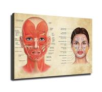 IDGTTLDF Minimalist Anatomy Canvas - Artistic Interpretation of the Human Face, Modern Biology Poster for Contemporary Living Room, Office, or Dorm Decor(Unframed,16x24inch(40x60cm))