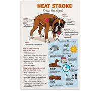 IDGTTLDF Pet Emergency Poster How to Heat Stroke in Dogs Wall Decor