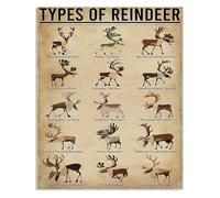 IDGTTLDF Rustic Types Of Reindeer Metal Sign Reindeer Knowledge Guide Poster for Home Kitchen Cafe Bar Wall Decor Christmas Decor Tin Art 8 X 12 inch