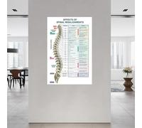 IDGTTLDF Spine Anatomy Poster - Scientific Illustration of the Human Back - Modern Wall Art for Doctor‘s Office, Physiotherapy Room, or Home Study Decor Unframed,16x24inch(40x60cm)