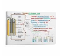IDGTTLDF STEM Chemistry Poster Galvanic Cell and Redox Reactions Science Wall-Art for Classroom Decor Laboratory Teaching Aid Framed,16x24inch(40x60cm)