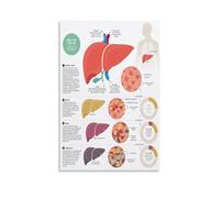 IDGTTLDF The Human Body Poster, Educational Organ System Chart Canvas Print for Health Classroom, Home Study Area, or Library Decor Framed,12x18inch(30x45cm)