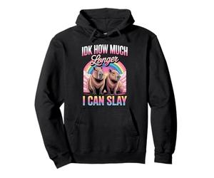 IDK How Much Longer I Can Slay Capybara Rainbow Meme Women Pullover Hoodie