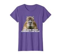 Idk How Much Longer I Can Slay Capybara Sarcastic Dank Meme T-Shirt
