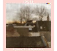 IDLES - Joy