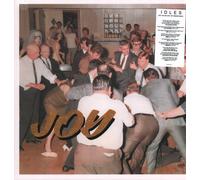 Idles Joy As An Act of Resistance LP vinyl Europe Partisan 2018 black vinyl with