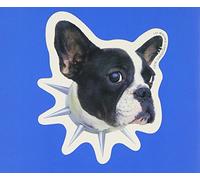 Idol Wo Sagase-La Plus Belle Pour Aller Danser-