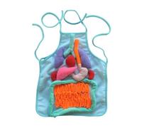 idqwsswt Educational Tool Kids Learning Internal Organs 3D Apron Enhancing Understanding Of Body Functions Through Playful Engagement Children Learning Apron , blue , 30.8x35.7cm