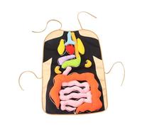 idqwsswt Human Body Organs Teaching Aid Children 3D Organ Apron Educational Tool For Preschool Activities Teaching Aid Set For Children 3 Years And Older. 3D