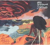 IDRIS ACKAMOOR & THE PYRAMIDS - AN ANGEL FELL [VINYL]