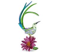 Idyllia Sugarbird and Cactus Flower