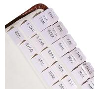 Idyllic Grace - Mini Bible Tabs, Embossed Silver Foil, Journaling, Small Bibles, Study Tool, 90 Tabs, Old and New Testament, Christian, Catholic, Apocrypha, Index Tabs, Matte Laminated - Elemental