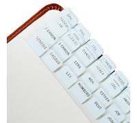 Idyllic Grace - Mini Mint to Be - Bible Tabs - Embossed Gold Foil - Journaling - Small Bibles - Index Tabs - Old and New Testament - 90 Books - Christian - Catholic - Apocrypha - Matte Laminated