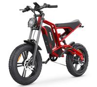 iENYRID Electric Bike for Adults,Fat Tire Hidoes B6 25KM/H Electric Bike Bicycles 15Ah Removable Battery E Bikes for Adults Electric Mountain Bike for Men