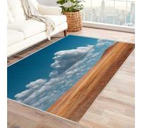 IEPOZWA Colorful Irregular Shape Carpet Grass By The Water Low Pile Stain-Resistant for Entryway Hallway Kitchen High Traffic Durable(Blue)-60x90cm