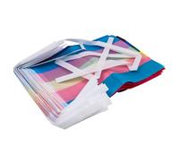 Ieron 32 Assorted Rainbow String Flags 10m Color Printed Pride Flags Gay Pride Banners Bisexual And Transgender Rainbow String Flags For LGBT Bisexual Pride Party Decorations