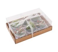 Ieron 6pcs Cactus Succulent Candles, Wedding & Party Favours, Home Decor, Unscented