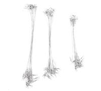 Ieron 72pcs Fishing Wire Trace Leaders Lure Wire Trace Stainless Steel Trace Leaders with Snap for Pike Hidden Main Line Prevent Fish Bite Line 15cm 20cm 25cm