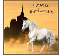IETSCPMD19305 Happy Birthday Card with White Horse Castle Princess Queen for Girls and Women with White Envelope Size 15 x 15 cm - White Interior - Made in France - I&S Design